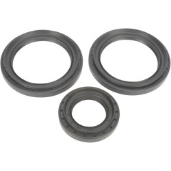 Differential Seal Kit
