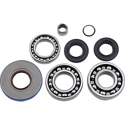 Differential Bearing Seal Kit