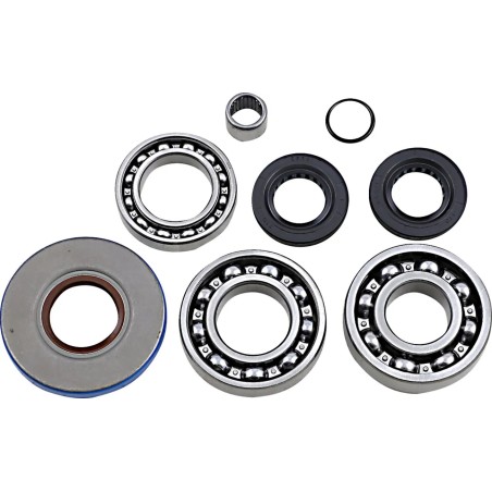 Differential Bearing Seal Kit