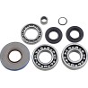 Differential Bearing Seal Kit