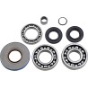 Differential Bearing Seal Kit