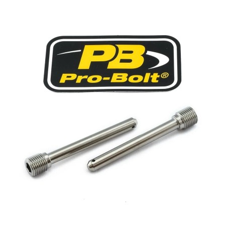 Brake Caliper Pin