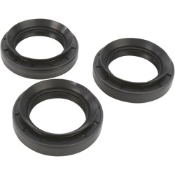 Differential Seal Kit