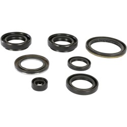 Motor Oil Seals
