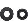 Engine Oil Seal Kit