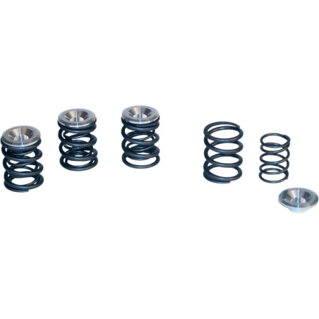 Valve Spring Kit