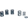 Valve Spring Kit