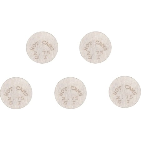 Replacement Valve Shims