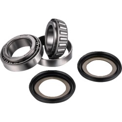 Steering Stem Bearing Kit