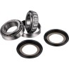 Steering Stem Bearing Kit