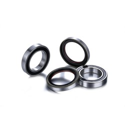 Wheel Bearing Rebuild Kit Race