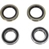 Wheel Bearing and Seal Kit
