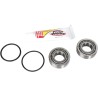Steering Stem Bearing Kit