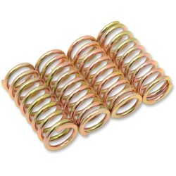 Clutch Spring Kit