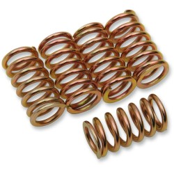 Clutch Spring Kit