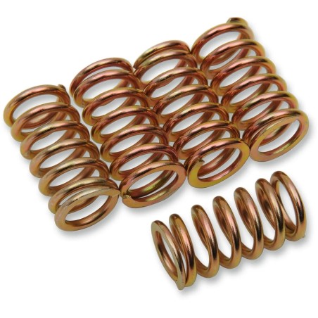 Clutch Spring Kit