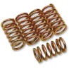 Clutch Spring Kit
