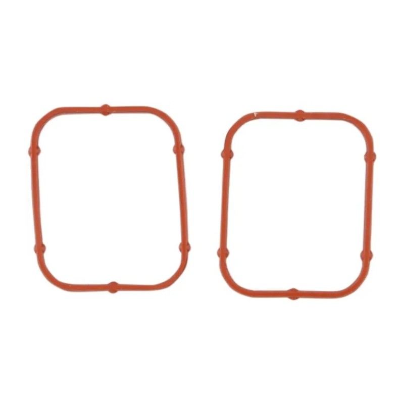 Rocker Gasket