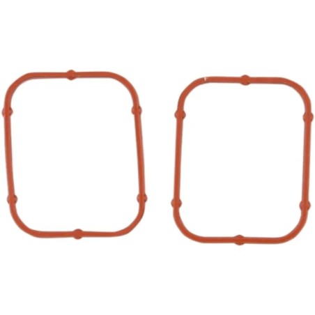Rocker Gasket