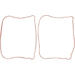 Rocker Gasket