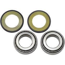 Steering Stem Tapered Roller Bearings and Seals Kit