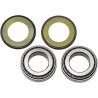 Steering Stem Tapered Roller Bearings and Seals Kit