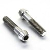 Brake Caliper Pinch Bolt Set Titanium