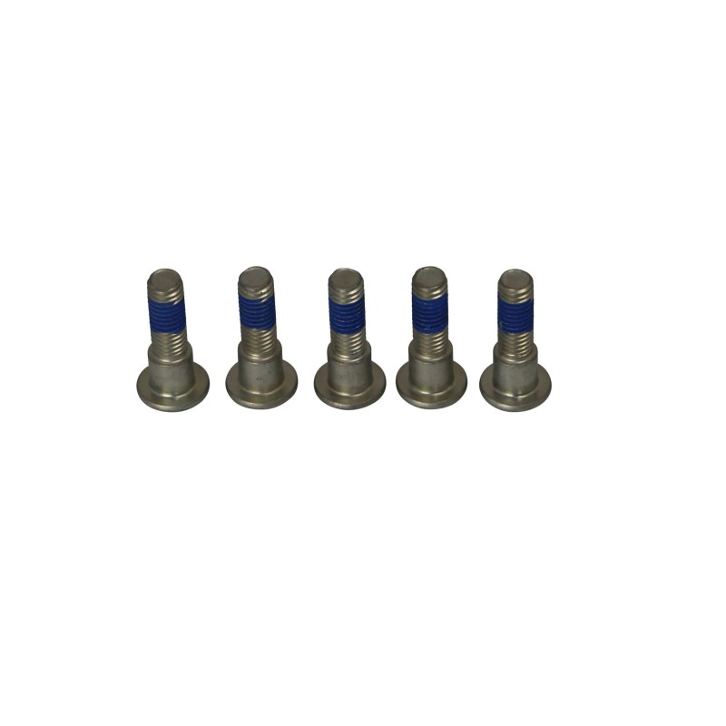 Brake Rotor Bolt Set