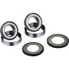 Steering Stem Bearing Kit