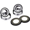 Steering Stem Bearing Kit