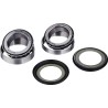 Steering Stem Bearing Kit