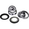 Steering Stem Bearing Kit
