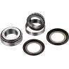 Steering Stem Bearing Kit