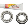 Steering Stem Bearing Kit