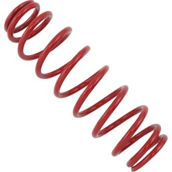 Front Rear Linear Rate Shock Spring