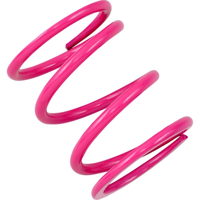 Primary Clutch Spring Polaris