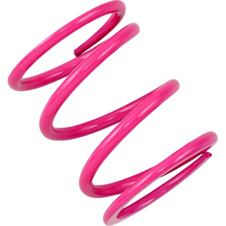 Ressort d'embrayage primaire Polaris