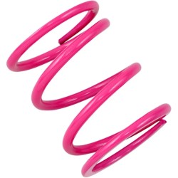 Primary Clutch Spring Polaris