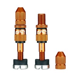 Quick Fill Schrader Tubeless Valve Set