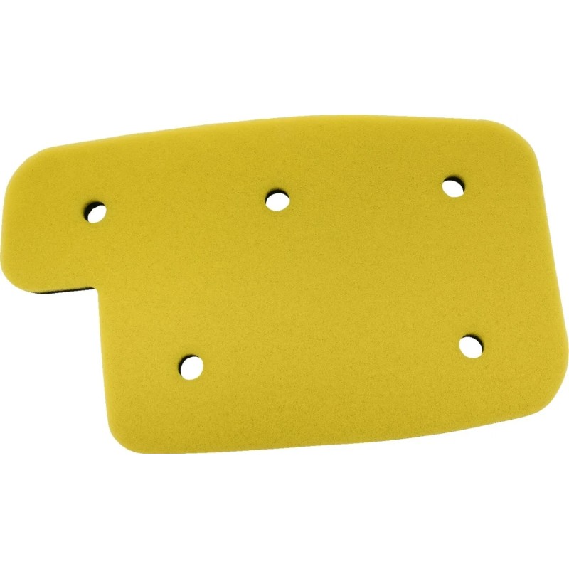 Filtre à air de rechange