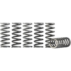 Hi-Temp Clutch Spring Kit
