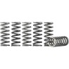 Hi-Temp Clutch Spring Kit