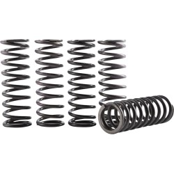 Hi-Temp Clutch Spring Kit