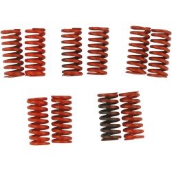 Replacement Clutch Spring Set