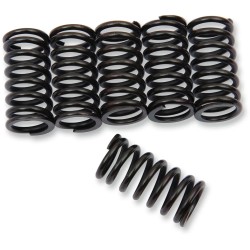 Clutch Spring Kit