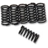 Clutch Spring Kit