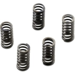 CSK Series Heavy Duty Clutch Spring Kit
