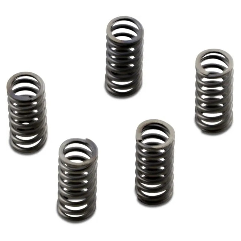 CSK Series Heavy Duty Clutch Spring Kit