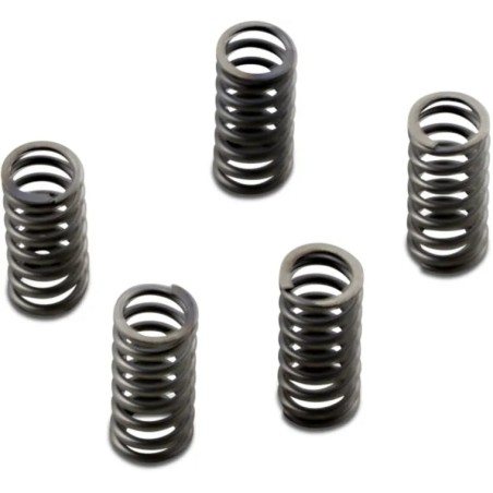 CSK Series Heavy Duty Clutch Spring Kit