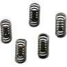 CSK Series Heavy Duty Clutch Spring Kit